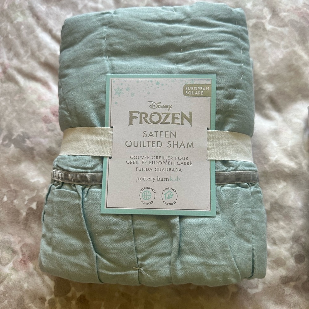 Frozen Sateen Quilted Sham by PBK